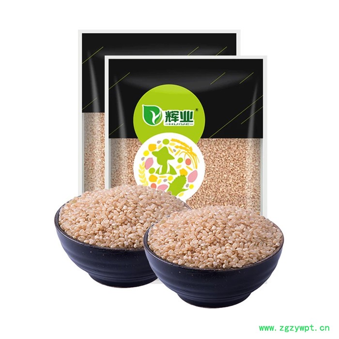 钦典 QD-200C/300给袋式玉米棒真空包装机糖果颗粒包装机花生颗粒灌装机焦糖玉米花包装机图4