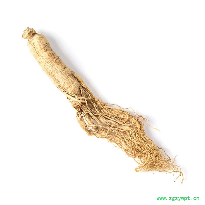 人参中药材,生晒参长白山,长白山人参原皮参图3