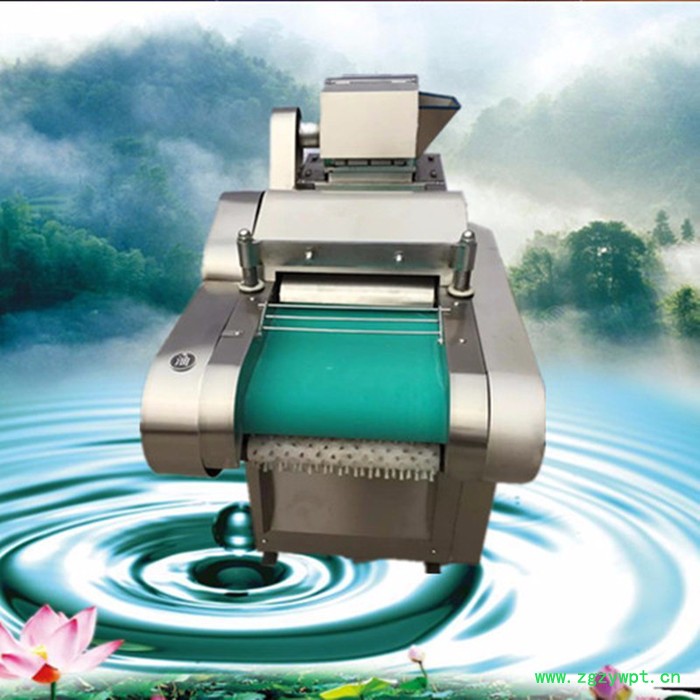 佳鑫莲藕切片机 切丝机  加厚耐用中药材白芍切片切丁机**图4