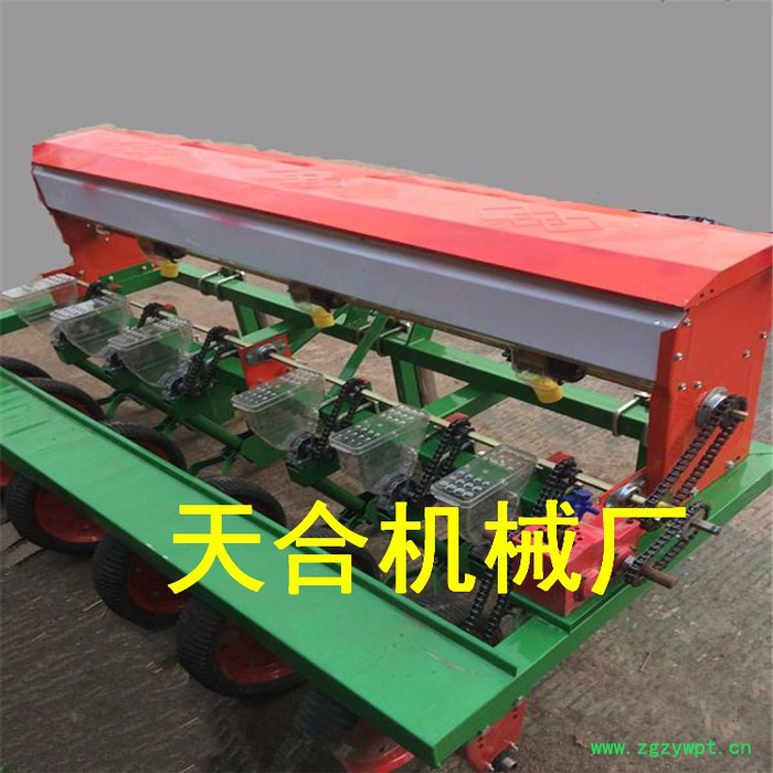 天合水稻苗床播种机 中药材小颗粒种子播种机 谷子播种机图2