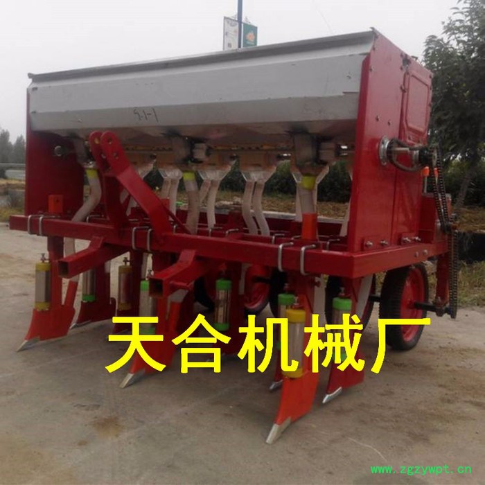 天合水稻苗床播种机 中药材小颗粒种子播种机 谷子播种机图5