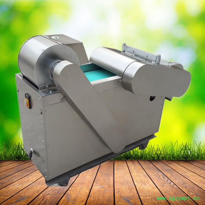 启硕大型中药材切片机价格 红心萝卜切片机价格 不锈钢海带切丝机图8