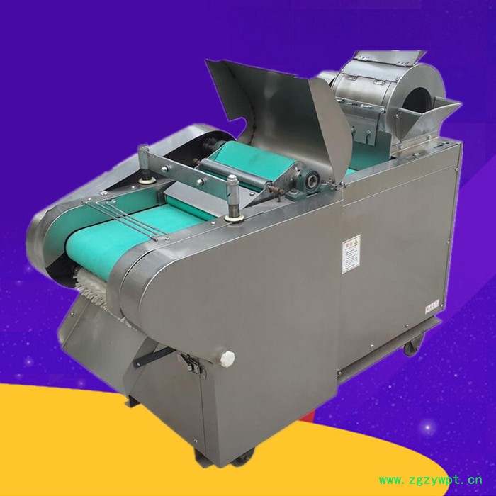 启硕大型中药材切片机价格 红心萝卜切片机价格 不锈钢海带切丝机图2