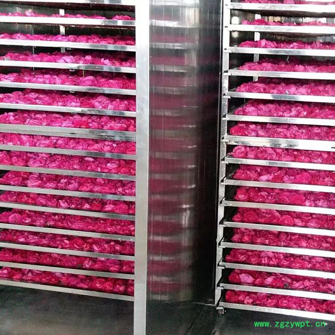 新川优创热风烘箱 热风循环烘箱 可烘干食品中药饮片 按需定制欢迎咨询 烘干房图6