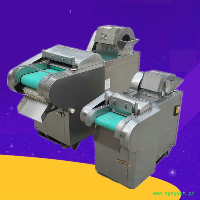 启硕牌节能省电新款切菜机 粗细可调土豆切丝机图  中药材切片机厂家图4