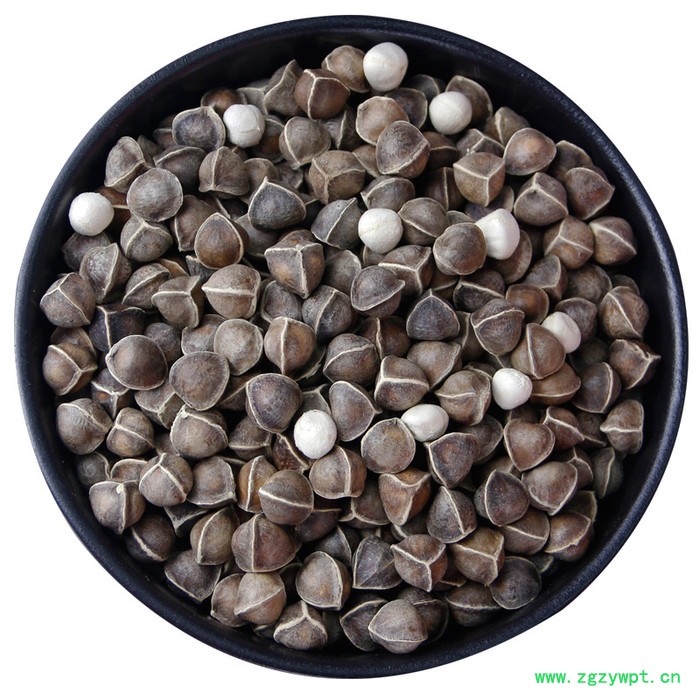 印度辣木籽多钱,正宗印度250克,食同源中药图3