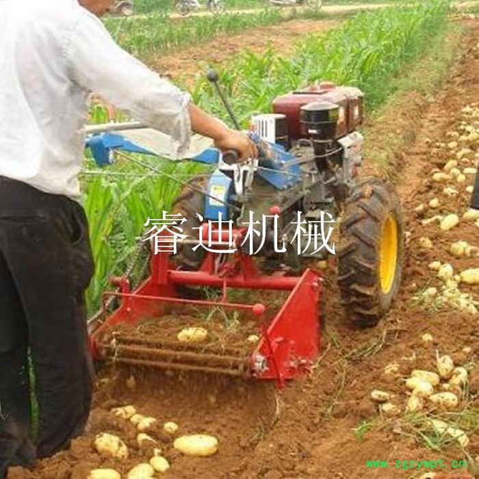四轮土豆收获机 中药材收获机 全新胡萝卜收获机图4