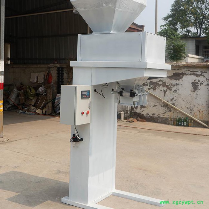 自动定量灌装机 全自动颗粒包装机 昌鑫 规格齐全