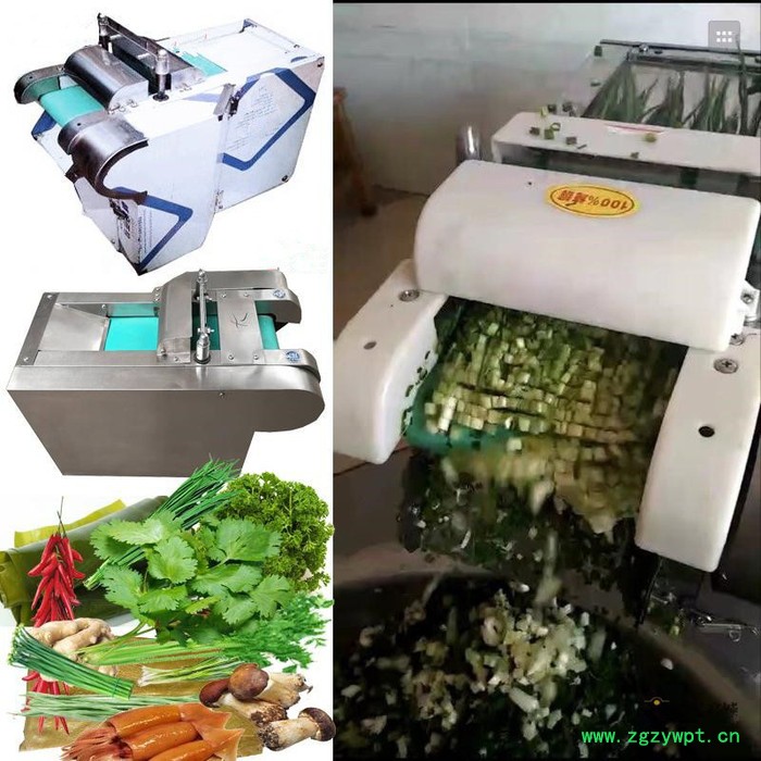 安徽新款中药材切片机 多功能辣椒切段机 小型桑叶切丝机图6