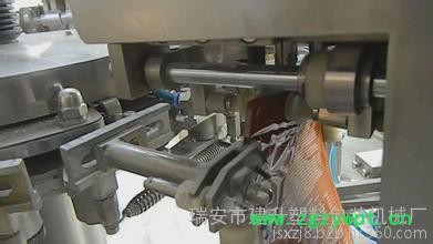 **全自动中药饮片给袋式包装机（新型伺服）图2