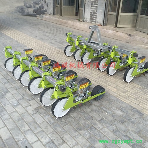 中药材精密播种机 崇仁县精播机进口材质 胡萝卜播种机图6