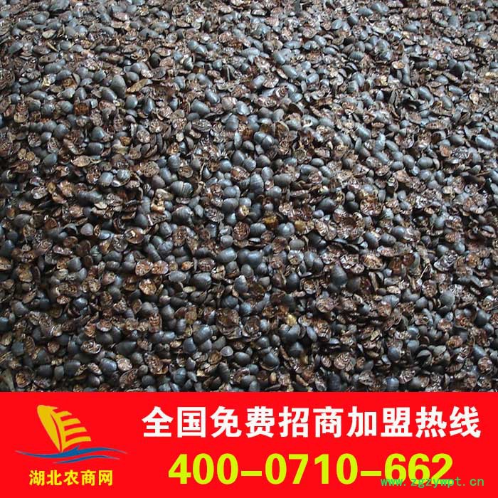 大量批发中药材 中药饮片 土元 活土元 免费提供技术指导，回收产品图3