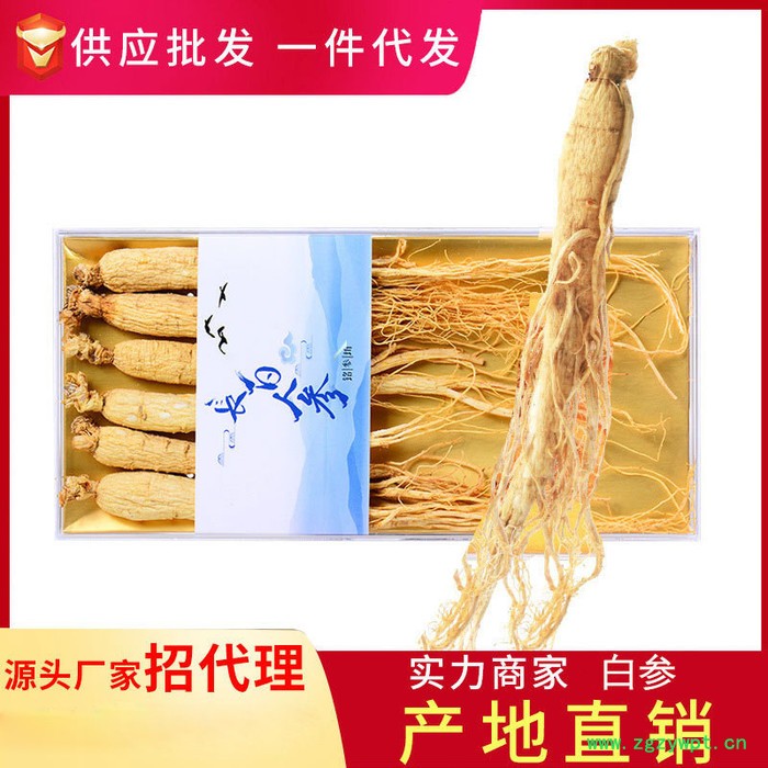 中药生晒参价格,长白山白参多钱,长白山人参白参图3