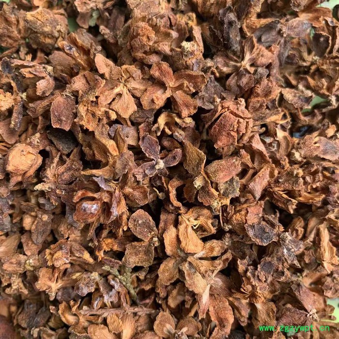 厂家侧柏壳柏树壳枕头枕芯柏子壳中药材柏子壳，饲料柏树壳图7