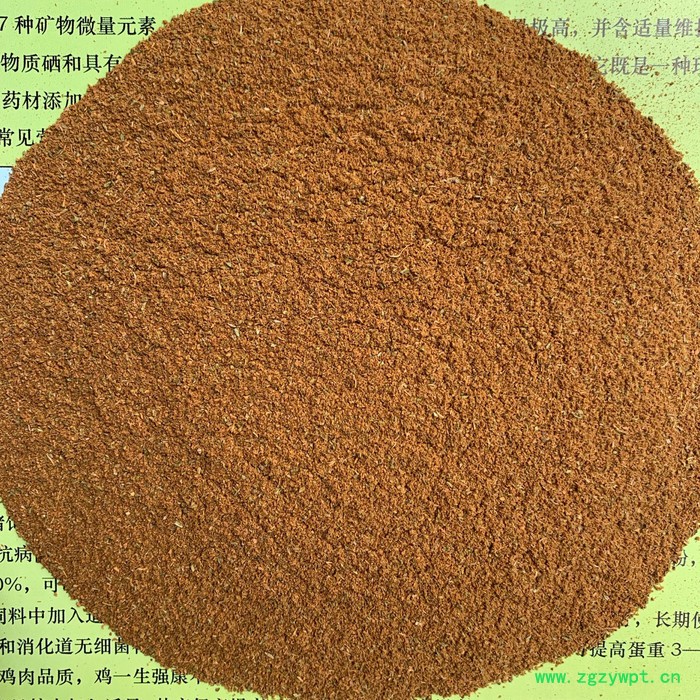 厂家侧柏壳柏树壳枕头枕芯柏子壳中药材柏子壳，饲料柏树壳图3
