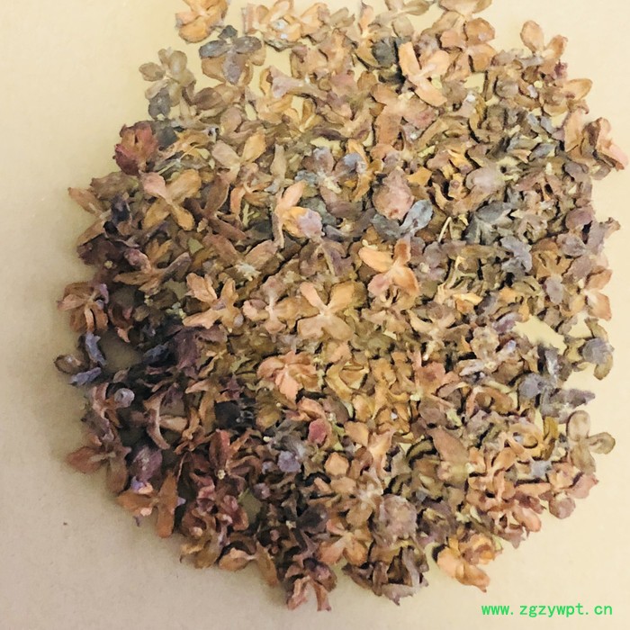 厂家侧柏壳柏树壳枕头枕芯柏子壳中药材柏子壳，饲料柏树壳图6