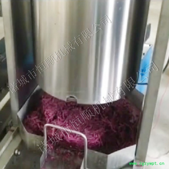 恒顺200L自动出料水果蔬菜压滤机 桑葚蓝莓酵素压滤机米酒酒糟压滤机火锅底料油渣压滤机中药渣压滤机单桶双桶 自动压滤机图3
