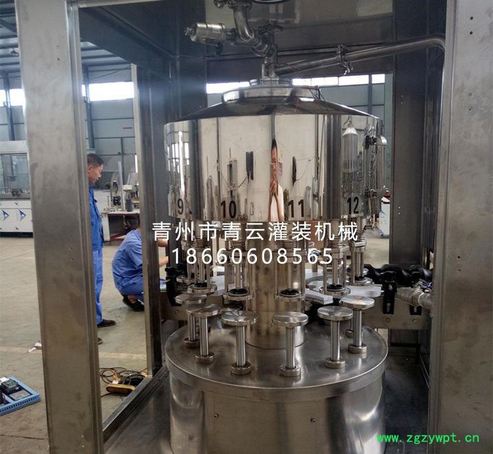 直销 葡萄酒灌装机 红酒灌装机 灌装生产线 12头全自动灌装图2