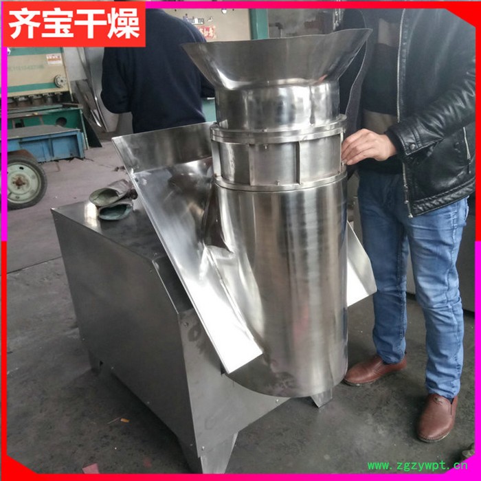 旋转制粒机,旋转颗粒机,制药化工食品行业用旋转式制粒机图2
