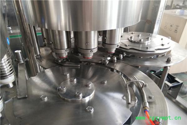 自动小瓶纯净水灌装生产线 纯净水灌装设备图4