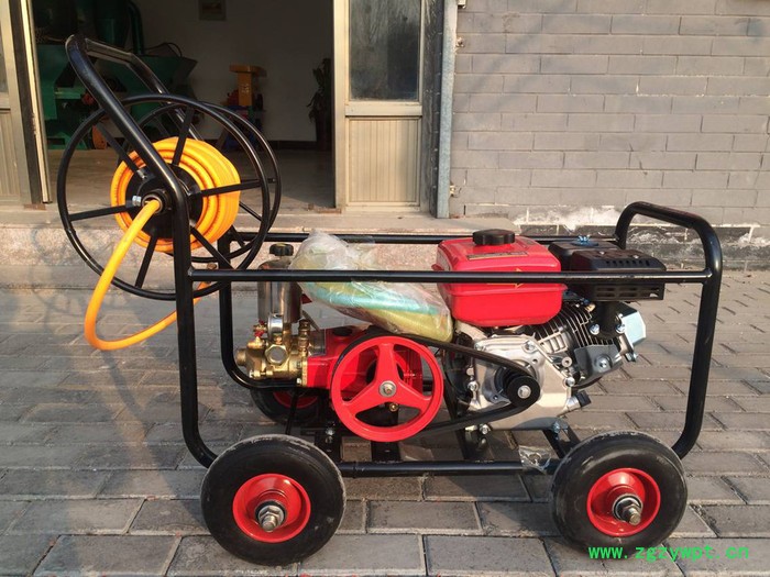 鸡饲料颗粒机饲料颗粒机 西城区供应直连饲料颗粒机，小型手推式打药机图5