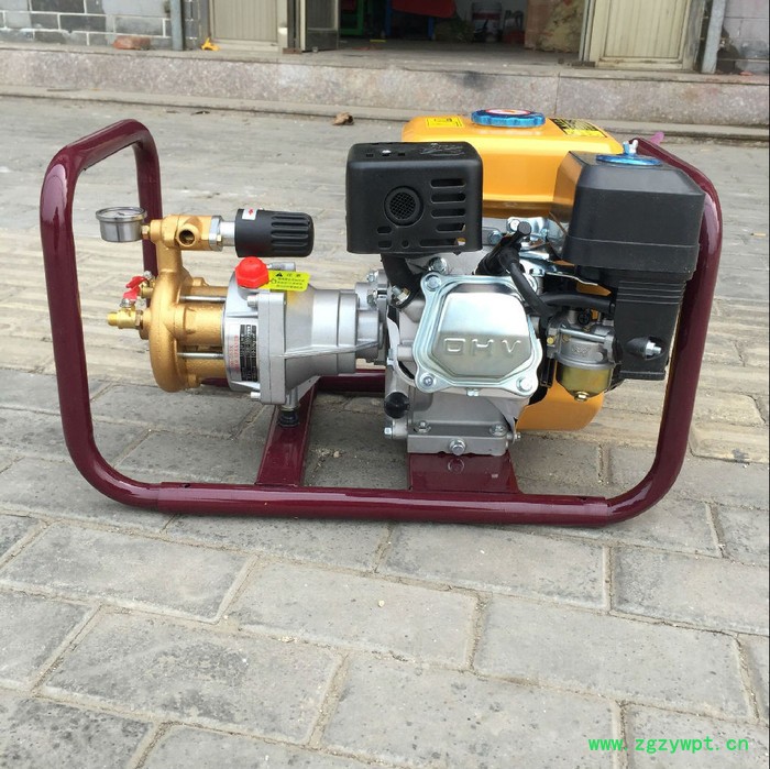 农用弥雾机海兴县直连饲料颗粒机、颗粒机、毛毛虫好用打药机图2