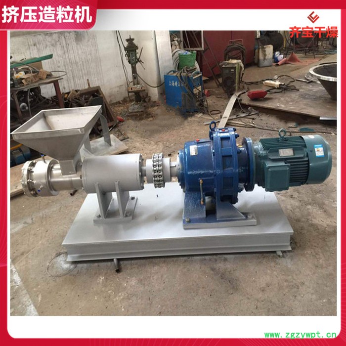 单螺杆双螺杆挤压造粒机 农药制粒机 圆柱颗粒机 挤压式造粒机