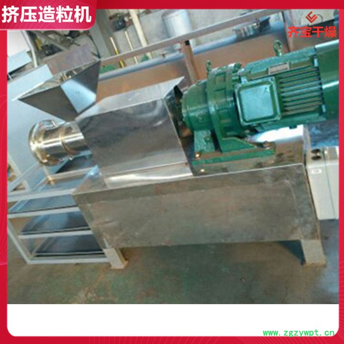 单螺杆双螺杆挤压造粒机 农药制粒机 圆柱颗粒机 挤压式造粒机图3