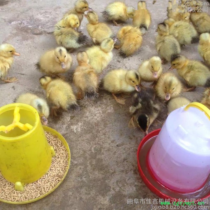 小型养鸡养鸭用粉料精料混合料造粒机 平模秸秆稻草造粒机 中药粉末制粒机图4