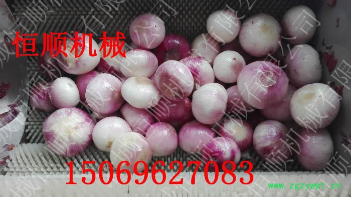 恒顺不锈钢毛刷清洗机  中药材清洗机 猕猴桃去皮机