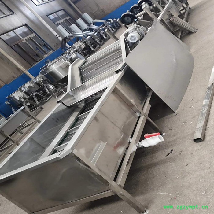 利顺 LS-QPQX商用全自动果蔬气泡清洗机高压喷淋清洗中药材大型净菜风干流水线图4