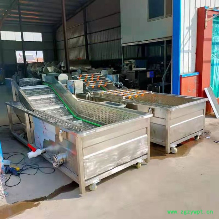 利顺 LS-QPQX商用全自动果蔬气泡清洗机高压喷淋清洗中药材大型净菜风干流水线图7