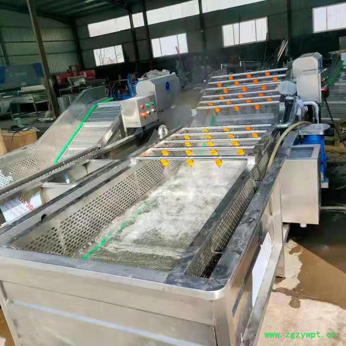 利顺 LS-QPQX商用全自动果蔬气泡清洗机高压喷淋清洗中药材大型净菜风干流水线图2