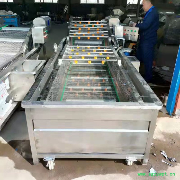 利顺 LS-QPQX商用全自动果蔬气泡清洗机高压喷淋清洗中药材大型净菜风干流水线图8