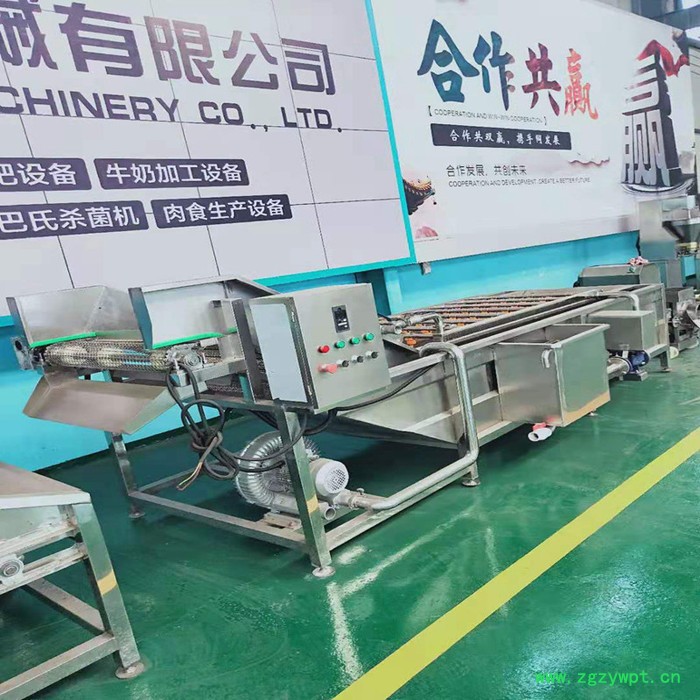 利顺 LS-QPQX商用全自动果蔬气泡清洗机高压喷淋清洗中药材大型净菜风干流水线图3