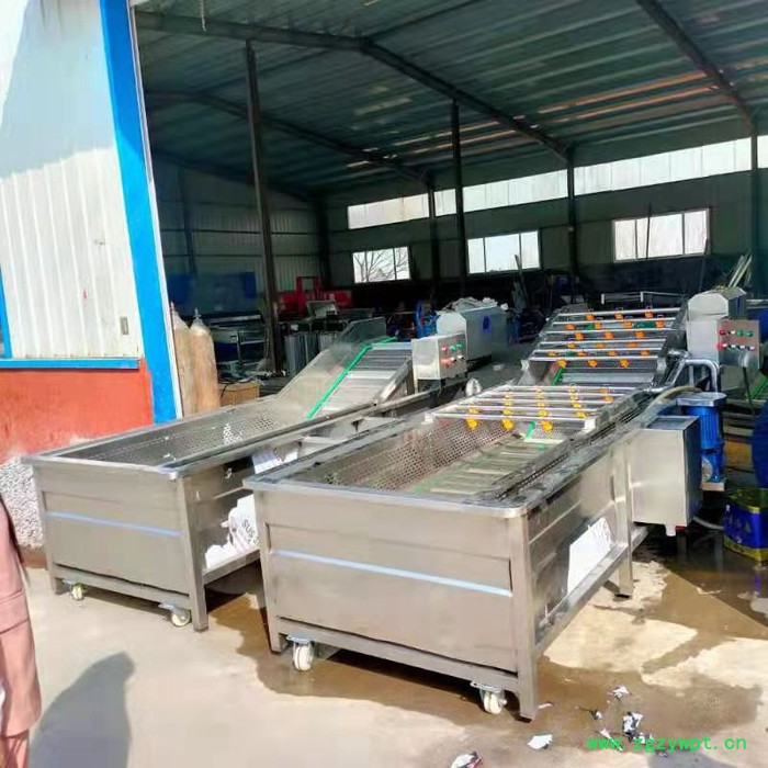 利顺 LS-QPQX商用全自动果蔬气泡清洗机高压喷淋清洗中药材大型净菜风干流水线图6