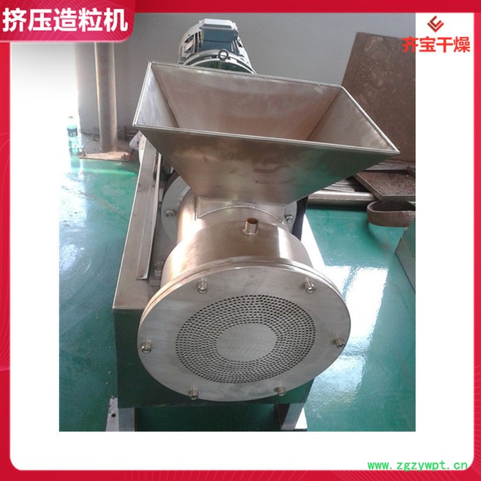不锈钢双螺杆挤压颗粒机 挤出制粒机 圆柱形颗粒挤出造粒机 食品药品挤压颗粒机图4