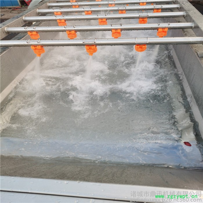 DX-6000多功能果蔬清洗机 蔬菜清洗机 中药材清洗机 海产品清洗机 毛辊清洗机