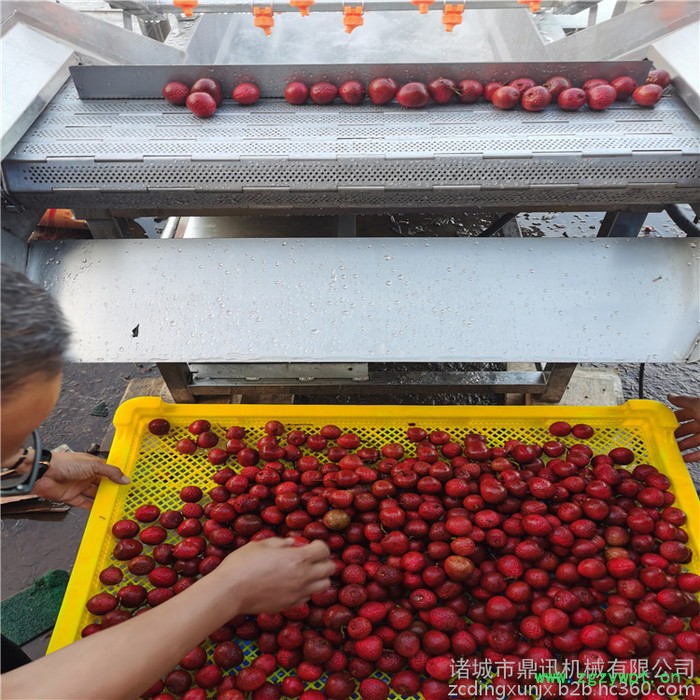 DX-6000多功能果蔬清洗机 蔬菜清洗机 中药材清洗机 海产品清洗机 毛辊清洗机图3