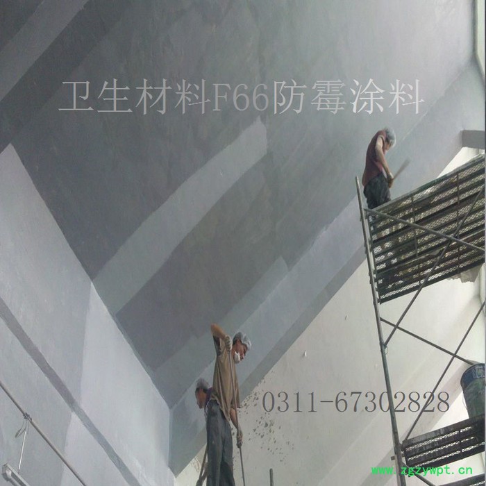 胜发F66 食品级防霉涂料_中药发酵间防霉漆 牛奶厂防潮内墙漆_制剂车间防腐墙面漆图3