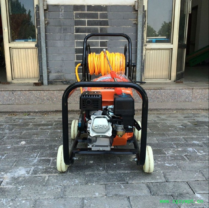 农田汽油打药机额尔古纳 手推打药机 麦田杀虫电动打药机图3