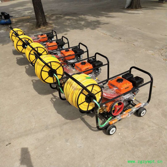 ,兔饲料颗粒机怀来县微型手持烟雾机雾化好打药机图3