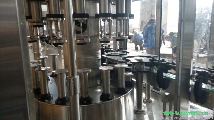 青海枸杞葡萄除梗破碎机、青海果酒饮料灌装生产线、张掖葡萄酒生产线灌装线、平安葡萄酒机械设备灌装线专业生产厂家 螺旋榨汁机图2