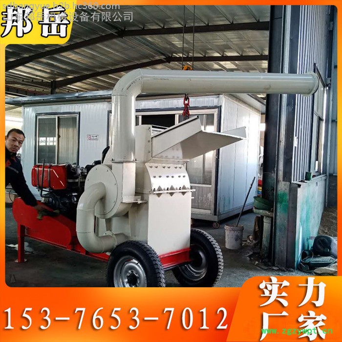 废旧木棒菌菇棒粉碎机 邦岳双口木材树木粉碎机 安徽道路绿化鲜树枝削片机 木质拖把杆中药渣颗粒机图5