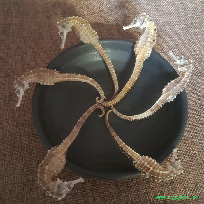 海马干货海马干泡酒中药材一件代发量大价优十全大补养生泡酒料图2