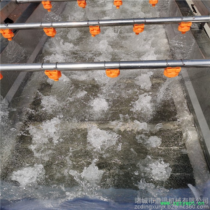 鼎迅DX-3000 多功能清洗机 中药材自动清洗机 不锈钢自动洗菜机 蓝莓清洗机 输送式洗菜机图5