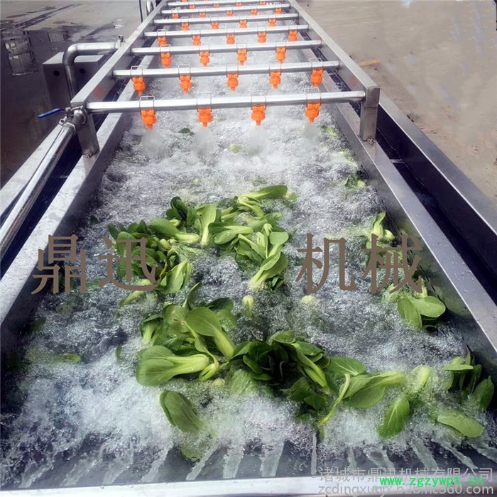 鼎迅DX-2600 叶菜自动清洗机 全自动不锈钢洗菜机 自动输送水果清洗机 泡菜脱盐清洗机 中药材清洗机图2