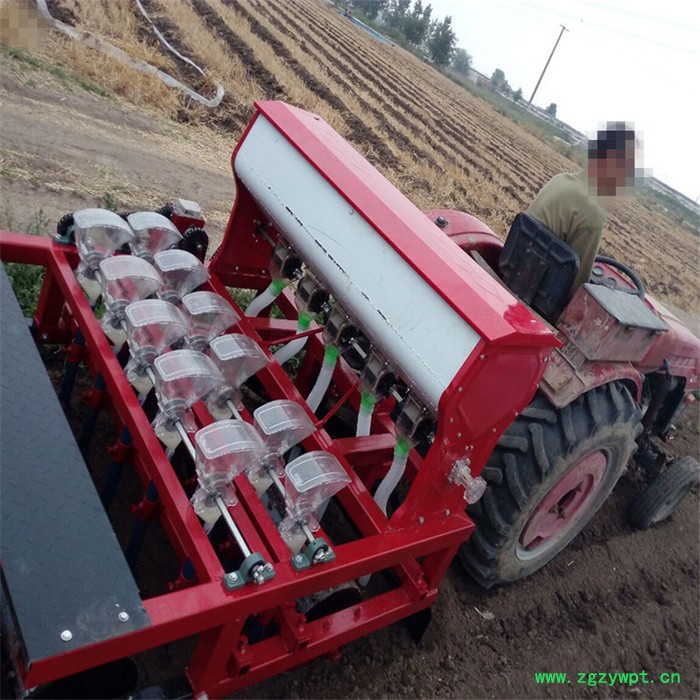 中药材免间苗播种机 农用手推蔬菜播种机高效汽油精量播种机富兴图5