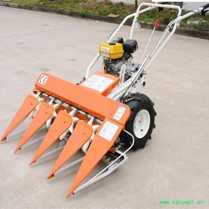 中药材秸秆割晒机 荞麦收割机 低成本药材割晒机经久耐用图6