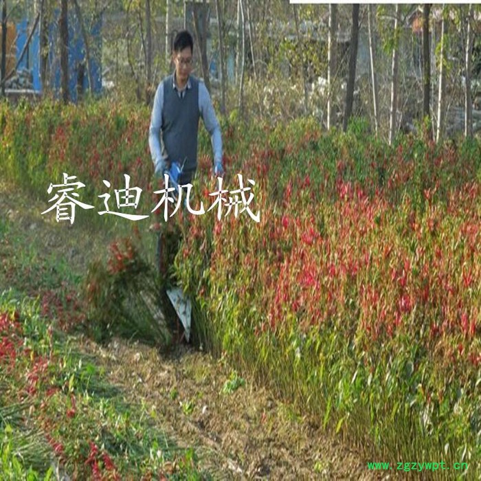 中药材秸秆割晒机 荞麦收割机 低成本药材割晒机经久耐用图4